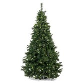 Kerstboom 210Cm Hoog 540 Lampjes