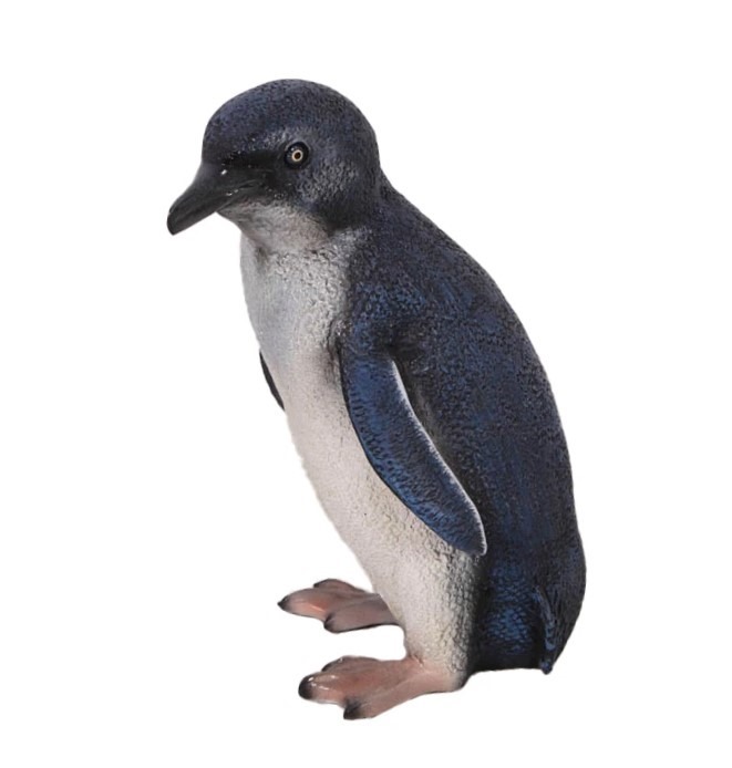 Pinguin jong, decor, decoratie, huren, te huur