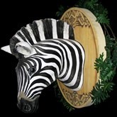 Dierenkop Zebra decor, decorstuk, Afrika, jungle, huren