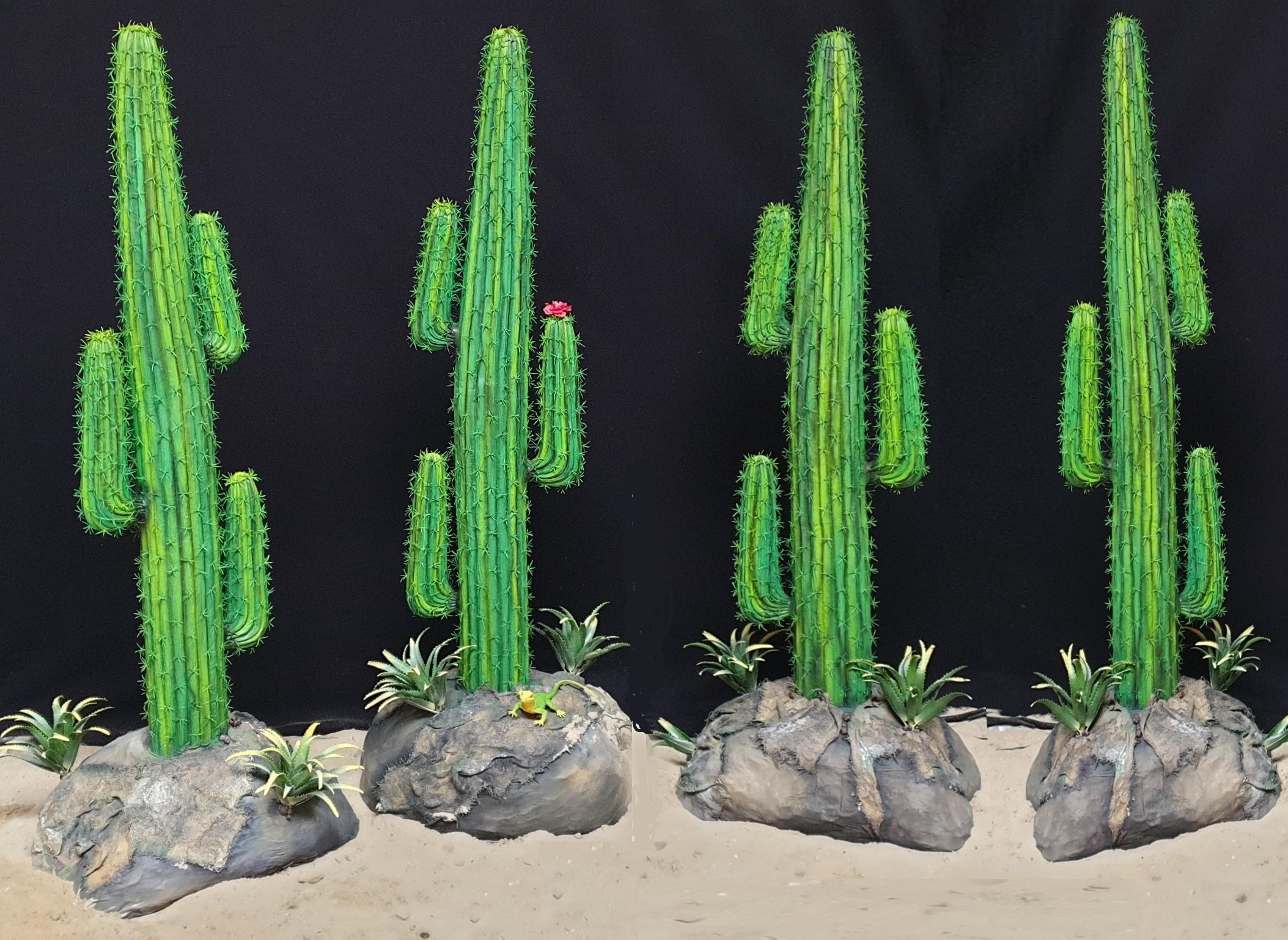 Cactussen, Cactus, decor, decorstuk, decoratie, huren, te huur