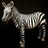 Polyester Zebra decor, decoratie, huren