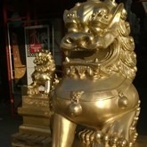 Chinese Leeuwen Set Te Huur