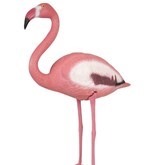Flamingo Beeld 80Cm