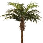 Kunst Palmboom 180Cm