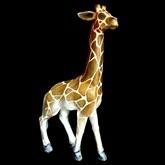 Giraffe, decorstuk, te huur, huren, decor, circus