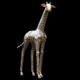 Giraffe, decorstuk, huren, te huur, circus