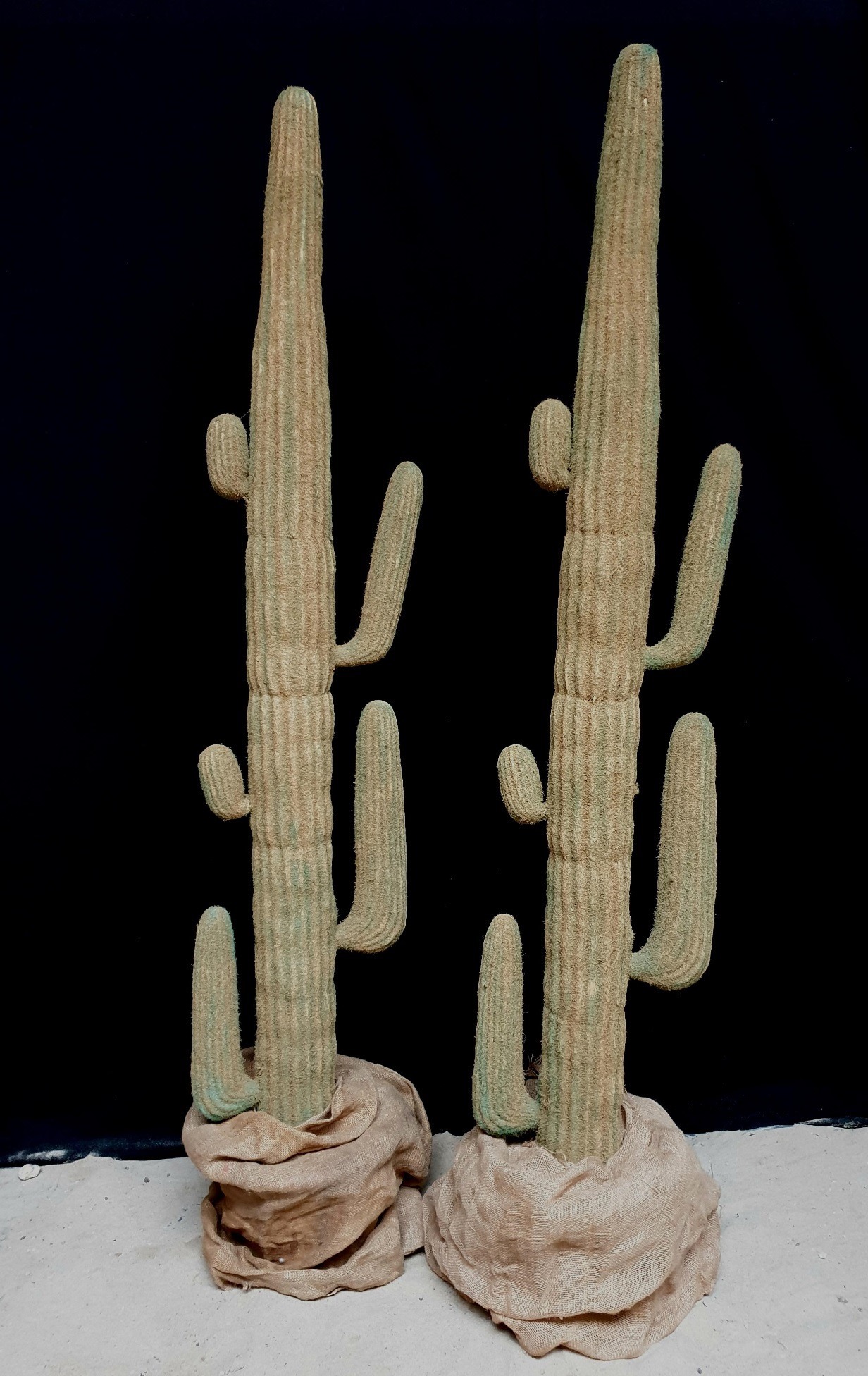 Mexicaanse Cactus 180 Cm