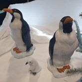 Konings Pinguïns, decor, decoratie, huren