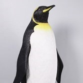 King Pinguïn, polyester, decor, decoratie, huren, te huur