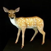 Polyester Bambi hert, decor, decoratie, huren