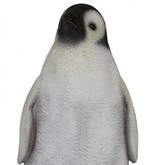 Young Pinguïn 32 34 62 Cm (1)