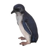 Pinguin jong, decor, decoratie, huren, te huur