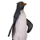 Rock Hopper Pinguin decor, decorstuk, huren te huur