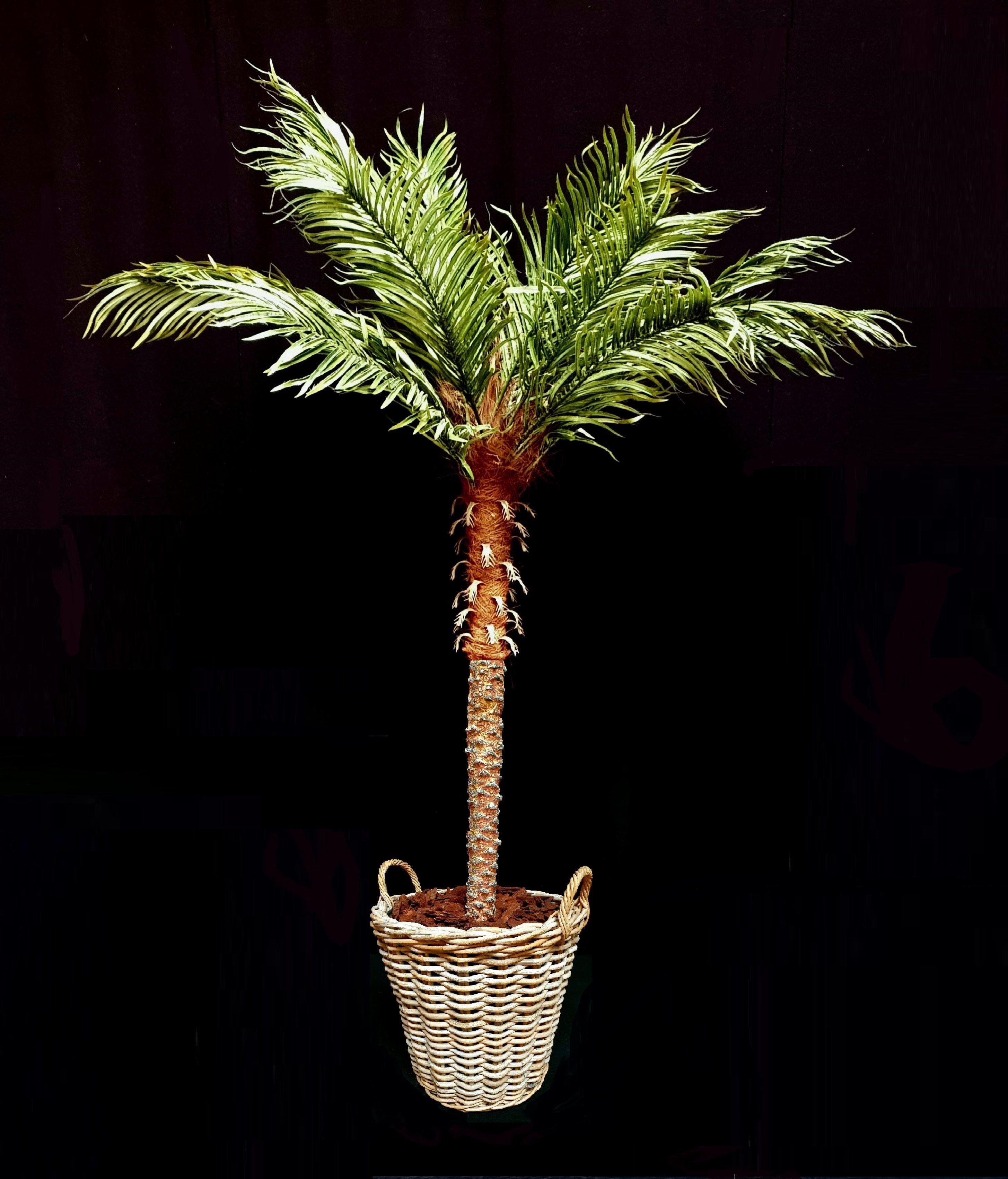 kunst Palmboom In Mand, decor, Afrika, kunstpalm, huren, tropicalverhuur