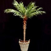 kunst Palmboom In Mand, decor, Afrika, kunstpalm, huren, tropicalverhuur