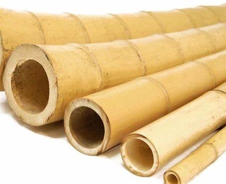 Bamboepalen, bamboestokken, bamboe, palen, stoken, decor, decoratie, huren