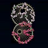 Cirkels met kersen bloesem, Japanse decoratie, huren, te huur