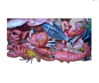 Transportkrat vispakket 60x40x25cm gevuld met vis zoals, krab, kreeft, zeester, haring en schol