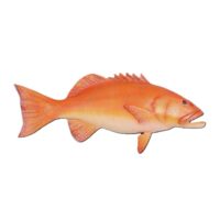 XL vis, Koraal forel 29(h) x 76(l) x 14(b)cm