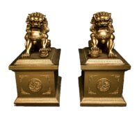 1 set van 2 Chinese Leeuwen op sokkel "Fu Dogs" / "Tempel leeuwen" (links en rechts) 150(h)x75(l)x50(b) cm