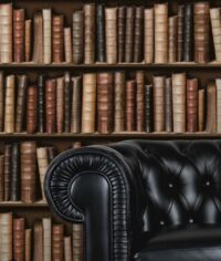 Decorpaneel klassieke boekenkast 100(b)x50(d)x244(h)cm