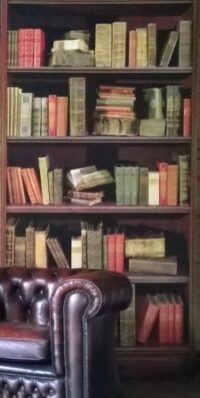 Decorpaneel klassieke boekenkast 122(b)x50(d)x280(h)cm