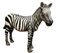 Zebra, lifesize staand (polyester) 210(b) x 180(h) cm