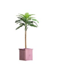 Bananenboom, (kunst) in houten bak 185(h)cm