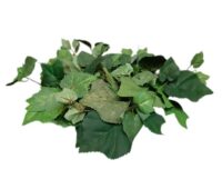 Druivenblad klimop guirlande / slinger groen 220 cm (kunst)