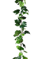 Dunne klimop slinger hedera, groen 180cm