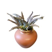 Vetplant Agave (kunst) 80 x 80(h) cm