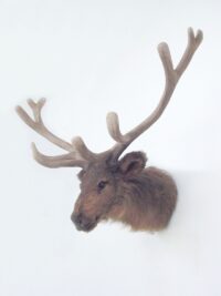 Dierenkop "Elk" met gewei, 110(h)x117(b)x50(d)cm