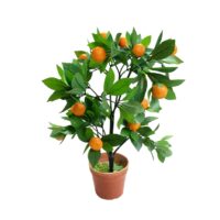 Sinaasappel plantje 30x50(h)cm
