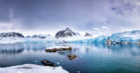 Decordoek Antarctica Nr 2. 500(b) x 250(h)cm. Inclusief ophangsysteem / statieven