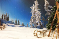 Decordoek Winter wonderland (airtex) incl. statieven (nr 7) 250(h)x500(b)cm