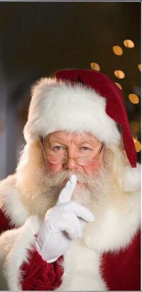Banier, fotoprint van de kerstman 200(h)x100(b)cm