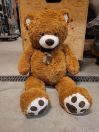 Teddybeer 60x50cm zittend