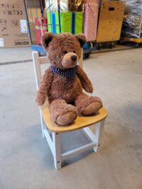 Teddybeer klein 35x30cm