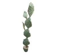 Cactus in pot (3D) 20(b) x 135(h)cm