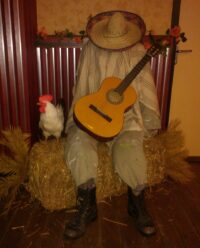 Slapende Mexicaan, buste / pop met sombrero & poncho
