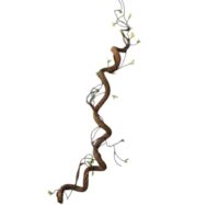 Flexibele Nep Liaan tussen de 160 / 200 cm