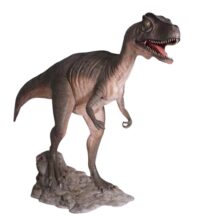 Allosaurus dinosaurus 319(l) x 84(b) x 182(h) cm