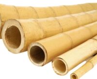 Bamboe palen c.a. 7 cm dikte, 75 cm lengte