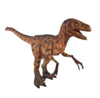 Deinonichus dinosaurus 288(l) x 63(b) x 129(h) cm