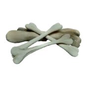 Dino botten - set 3x 110 x 25 cm