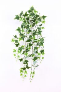 Klimop toef hedera groen / beige, 70cm (kunstzijde)