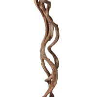 liaan, crazy vine, hout 150 / 200 cm