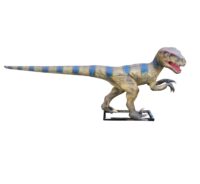 Velociraptor dinosaurus 320(l) x 60(b) x 120(h) cm