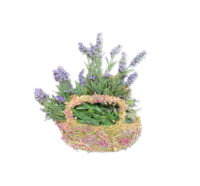 Gedroogde bloemenmandje met lavendel 27x 12 x 40 cm