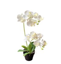 kunstzijde Orchidee in pot D 16 H 35 cm perfect als tafel decoratie!
